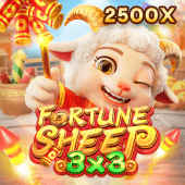 Fortune Sheep